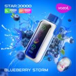 Best Vozol Star 20000 Puffs Disposable Vape in Dubai UAE - Image 19