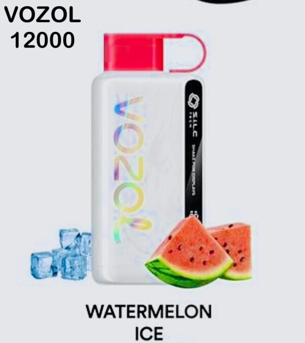 Vozol Star 12000 Puffs Disposable Vape in Dubai UAE - Image 3