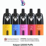 Kalyan 12000 Puffs