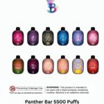 Panther Bar 5500 Puffs