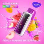Best Vozol Star 20000 Puffs Disposable Vape in Dubai UAE - Image 15