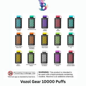 Vozol Gear 10000 Puffs