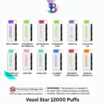 Vozol Star 12000 Puffs