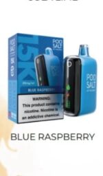 Pod Salt 15000 Puffs Disposable Vape In Dubai UAE - Image 2